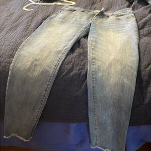 CARVE DESIGNS Women's Carson 5 Pkt Boyfriend blue jeans